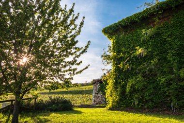 İtalya kırsalında terk edilmiş çiftlik
