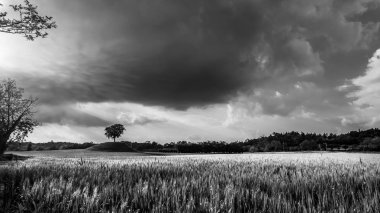 Friuli Venezia-Giulia alanlarında fırtına