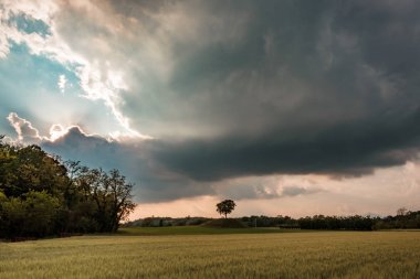 Friuli Venezia-Giulia alanlarında fırtına