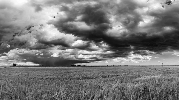 Grande tempestade nos campos da Itália — Fotografia de Stock