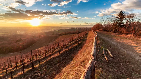 Colorido atardecer en los viñedos italianos —  Fotos de Stock