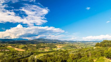Güzel üzüm Collio, Friuli Venezia Giulia, İtalya