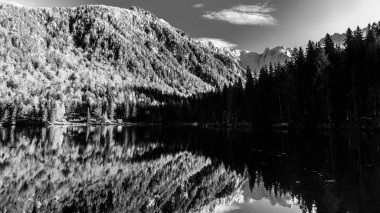 Alp gölünde renkli sonbahar yaprakları