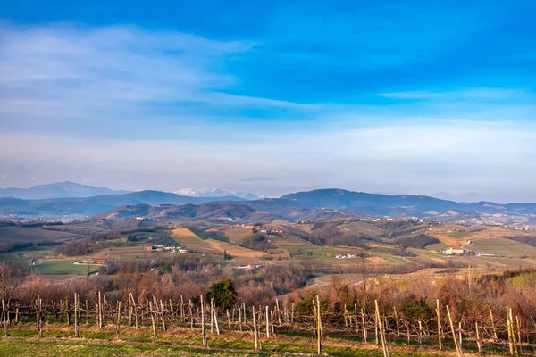 Pôr-do-sol primavera nas vinhas de Collio Friulano — Fotografia de Stock