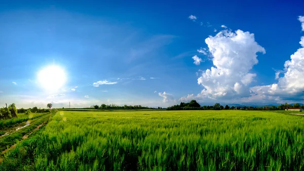 Områden i Friuli Venezia-Giulia — Stockfoto