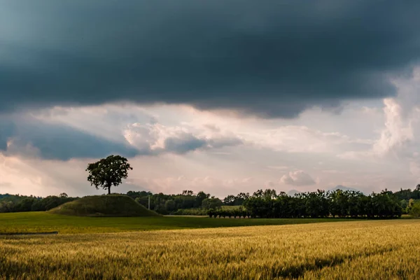 Storm in the fields of Friuli Venezia-Giulia — Stock Photo, Image