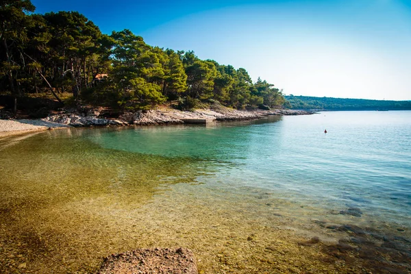 Regatta in een baai in Kroatië — Stockfoto