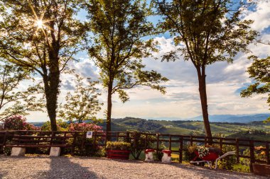 Güzel üzüm Collio, Friuli Venezia Giulia, İtalya