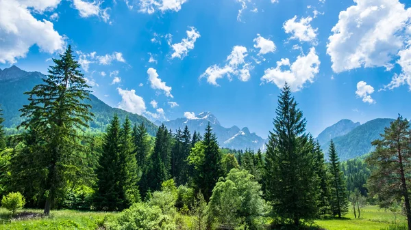 O verão chegou aos alpes italianos — Fotografia de Stock