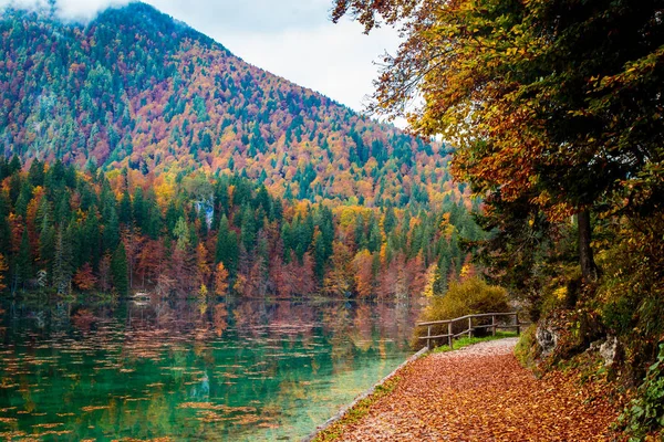 Liście jesienią alpejskie jezioro — Zdjęcie stockowe