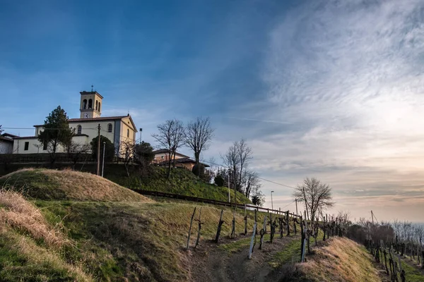 Lente zonsondergang in de wijngaarden van Collio Friulano — Stockfoto