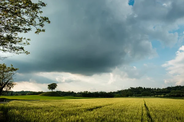 Storm in the fields of Friuli Venezia-Giulia — Stock Photo, Image