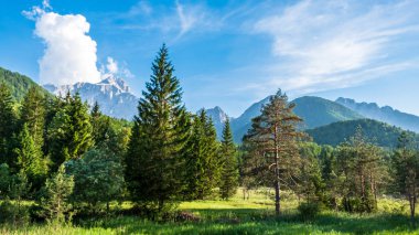 Yaz İtalyan Alpleri 'ne ulaştı