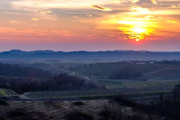 Pôr-do-sol primavera nas vinhas de Collio Friulano — Fotografia de Stock