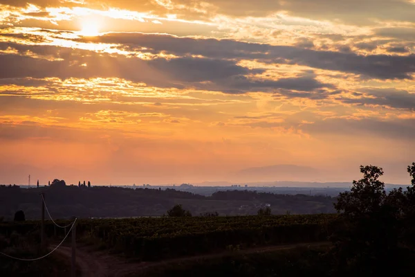 Západ slunce na vinicích Rosazzo po bouři — Stock fotografie