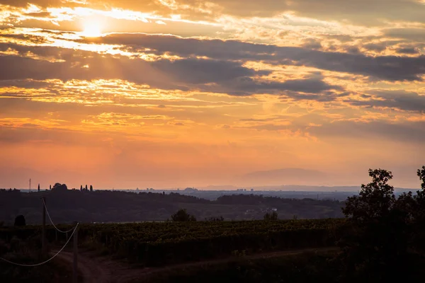 Sonnenuntergang in den Weinbergen von Rosazzo nach dem Sturm — Stockfoto