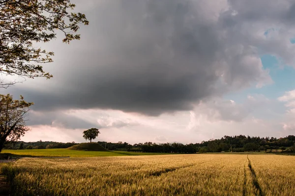 Storm in the fields of Friuli Venezia-Giulia — Stock Photo, Image