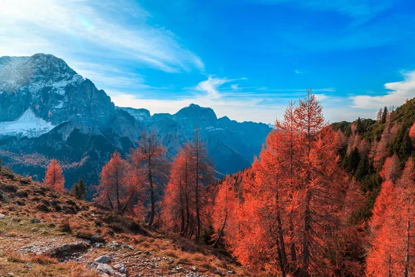 Nublado día de otoño en los Alpes italianos —  Fotos de Stock