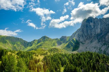 Carnic Alpleri'nde yaz günü trekking, Friuli Venezia-Giulia, I