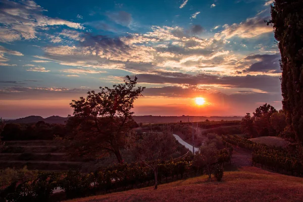 嵐の後の Rosazzo のブドウ園の夕日 — ストック写真