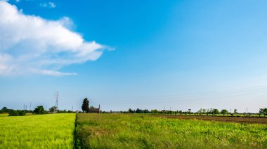 Friuli Venezia-Giulia sahaları