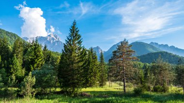 Yaz İtalyan Alpleri 'ne ulaştı