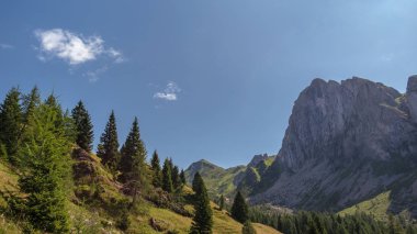Carnic Alpleri'nde yaz günü trekking, Friuli Venezia-Giulia, I