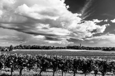 Friuli Venezia Giulia üzüm bağları gün batımı