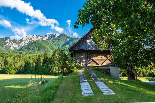 Sommaren har anlänt till de italienska Alperna — Stockfoto