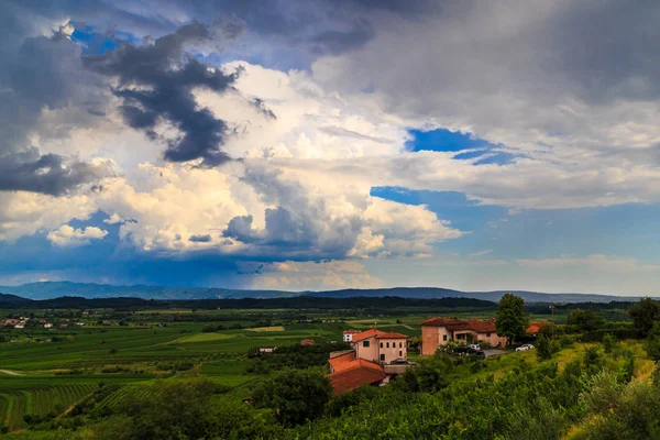 Stürmischer Tag in den Weinbergen von Brda, Slowenien — Stockfoto