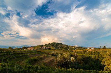 Fırtına sonra Rosazzo üzüm bağları gün batımı