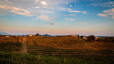 Fırtına sonra Rosazzo üzüm bağları gün batımı