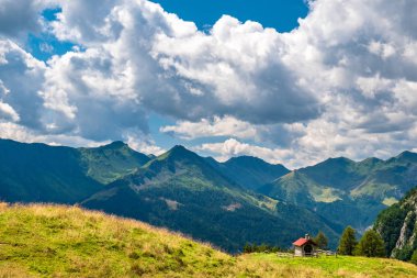 Carnic Alpleri'nde yaz günü trekking, Friuli Venezia-Giulia, I