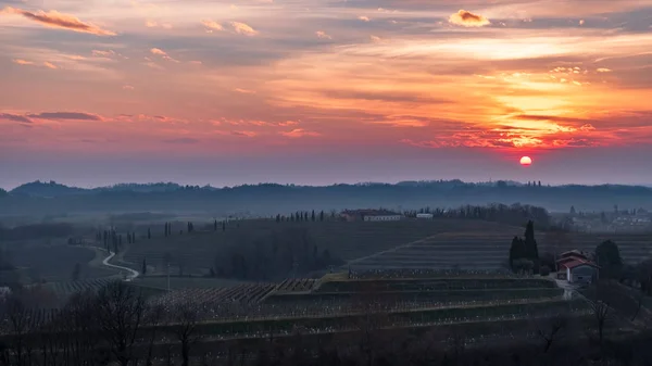 Spring sunset in the vineyards of Collio Friulano — Stock Photo, Image