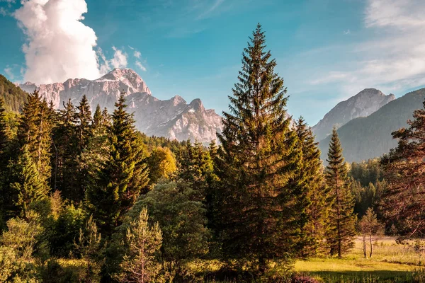 L'estate è arrivata nelle Alpi italiane — Foto Stock