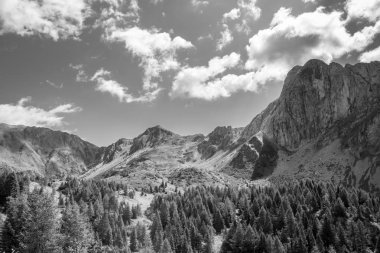 Carnic Alpleri'nde yaz günü trekking, Friuli Venezia-Giulia, I
