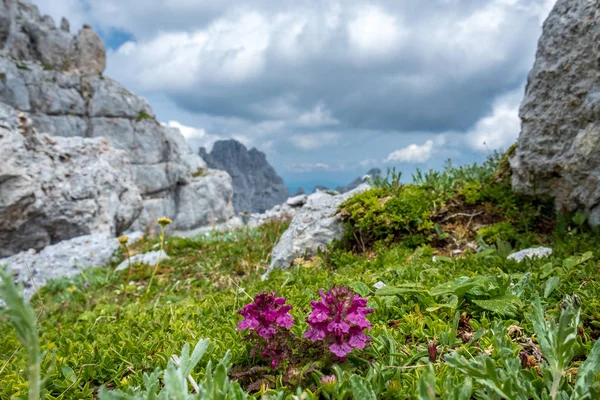 Le maestose Alpi Giulie — Foto Stock