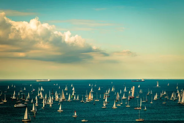 La régate Barcolana dans le golfe de Trieste — Photo