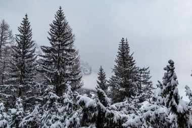 Karlı bir kış İtalyan dolomites fırtınalı bulutlar