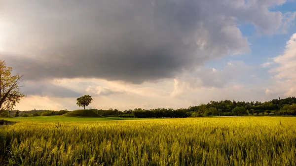 Tempestade nos campos de Friuli Venezia-Giulia — Fotografia de Stock