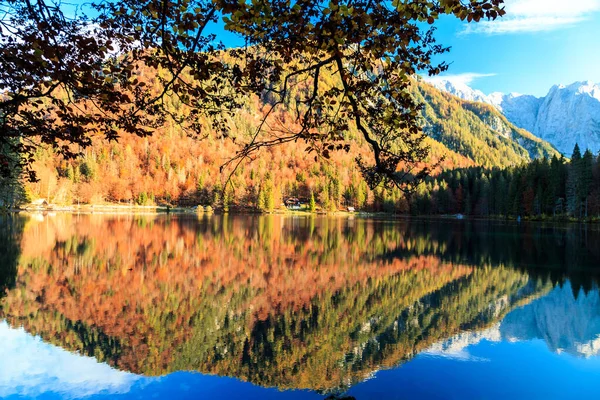 Colorido follaje otoñal en el lago alpino — Foto de Stock
