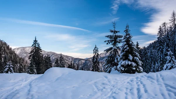 Día de invierno en los Alpes de Friuli Venecia-Julia — Foto de Stock