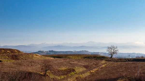 Puesta de sol en los viñedos de Collio, Italia —  Fotos de Stock