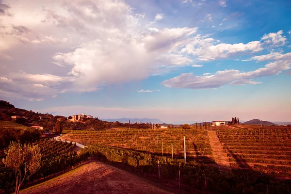 Puesta de sol en los viñedos de Rosazzo después de la tormenta — Foto de Stock