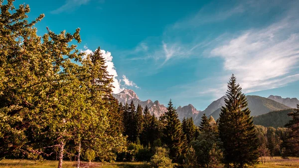 El verano ha llegado a los Alpes italianos —  Fotos de Stock