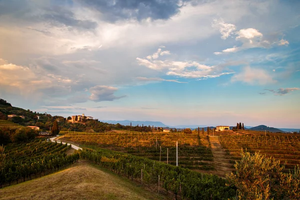 Sunset in the vineyards of Rosazzo after the storm — Stock Photo, Image