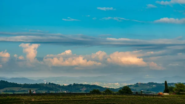 Sun Goes Vineyards Friuli Venezia Giulia Italy — Stock Photo, Image