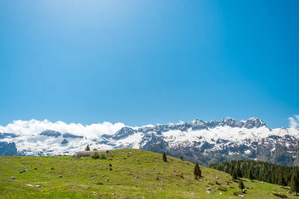 Μια Όμορφη Ανοιξιάτικη Μέρα Στο Σχέδιο Montasio Julian Alps Friuli — Φωτογραφία Αρχείου