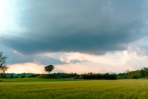 Fields Friuli Venezia Giulia Stormy Spring Day — Stock Photo, Image