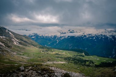 Julian Alplerinde Montasio Dağı 'nda Steinbocks, bir yaz günü.